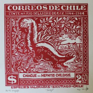 Xilografía fauna chilena Chingue